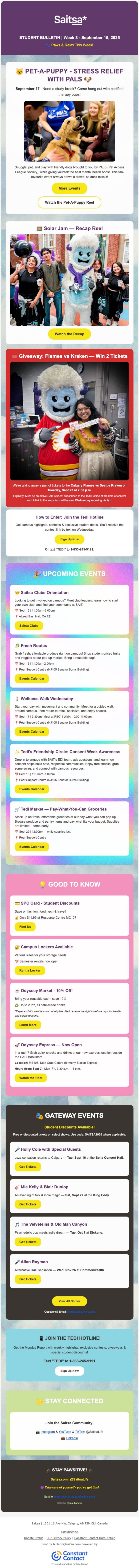New SAITSA student bulletin — cleaner layout, consistent hierarchy, aligned with handbook visual identity