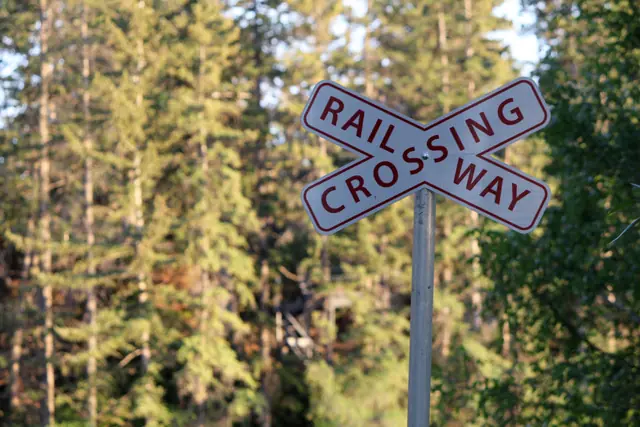 An X-shaped rail crossing sign on a post in front of evergreen trees.
