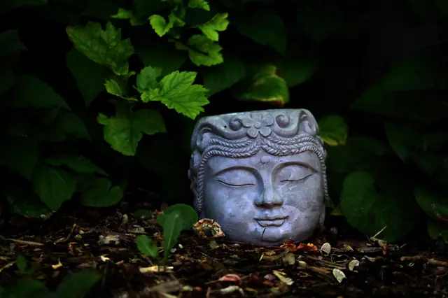 A stone Buddha head planter among dark green leaves, lit softly against a shadowed garden.