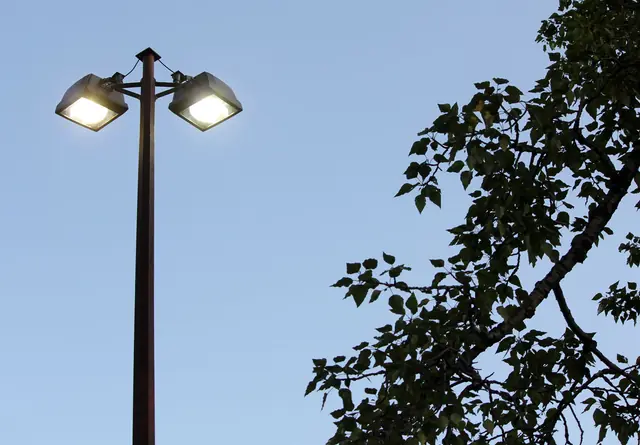 A double-headed streetlamp glows against a blue dusk sky beside a leafy branch.