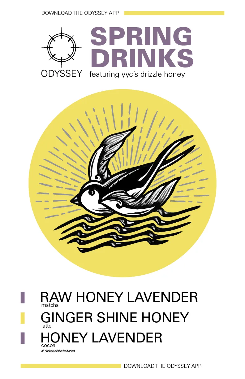 Odyssey spring drinks poster: an illustrated swallow in a yellow circle with three honey drinks listed